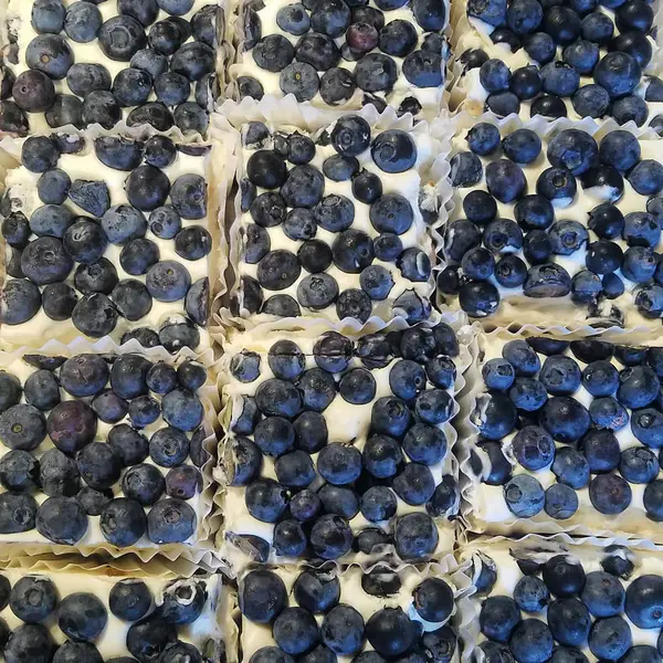 Blueberry cream cheese squares in paper cups
